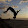 parkour training