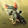 trico bouly