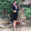 Bich Thien