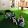 Diana children's World