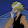 -_Nik6skillzz_- x