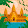 pradumnya bhor