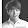 Army Jungkook