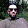 Alltags Videos