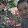 Dung Lun