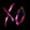 StarDust XO