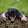 Stoned Mole