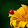 yellow green