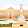 مأمون أبو علي
