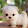 Dog and Family channel