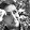 Joe Buccarano