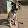 Lenka and dogs