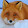Coffee Fox