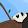 camizd roblox