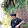 Khang Nguyễn