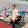 saengjan somtateh