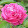 Balsam Abdul jabbar