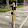 AN THUY