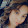 Nancy Bautista