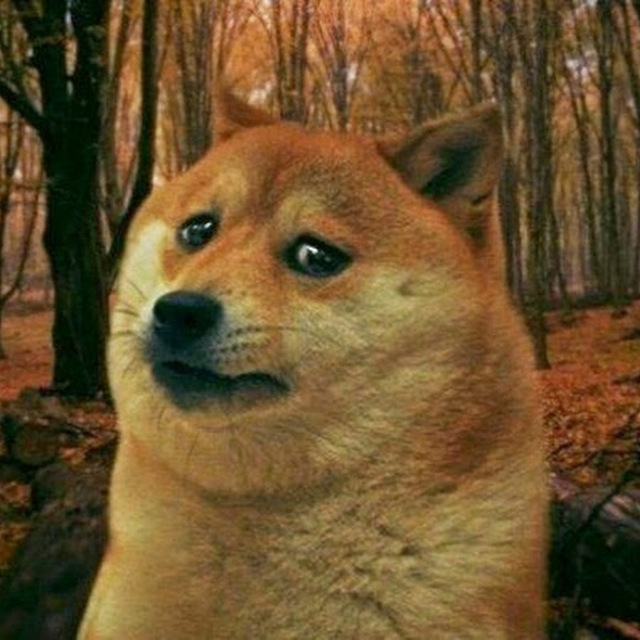 Чё ты все своими руками