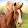 schleich films