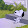 Shark on earth 456 wow