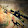 DRAGON LORE