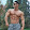 gym dz