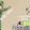 Jeff KevinlTM