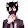 Black CatTV412