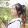 Chó cắn Lữ Động Tân