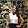 Aditie Rathod