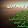 جلال الرفاعي