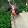 Sơn Dien