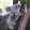 FluffyKoala