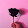 FLOWER MOON