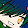 gacha boi