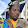 Mfumu Mwela