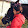 V. Irka_Horses