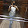 Ek Video
