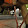 DixieNormous561