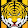 tiger _80