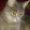 Мини котик Мяу