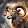 Aries 22