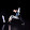 Fascienne Skytten
