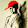 Escapist Red