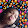 Shyiah's World