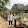 Linh Tư Channel