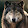 White Fang