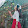 Phương Uyên
